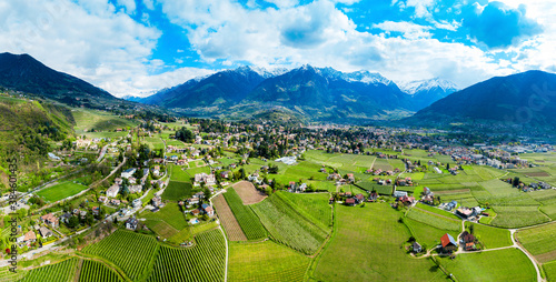 South Tyrol vineyards aerial view