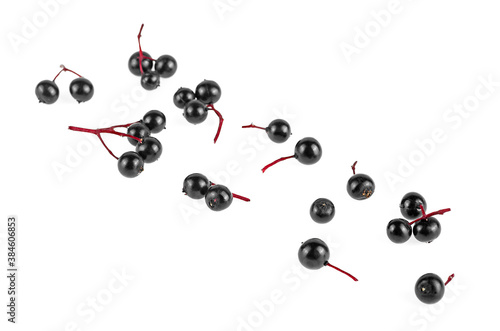 Top view image of black berries of elder isolated over white background. Elderberry fresh fruit. European black elderberry.