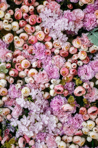 Wall of juicy multicoloured flowers © Ilya