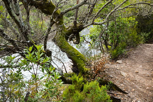 Le Fango (Fangu en corse) est un petit fleuve côtier français de l'île de Corse.