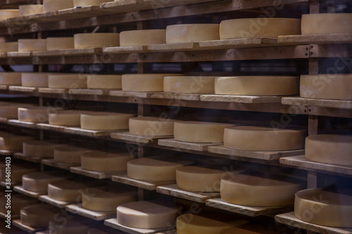 Yellow cheese heads lie on wooden shelves. Cooking process. Close-up. Soft focus.