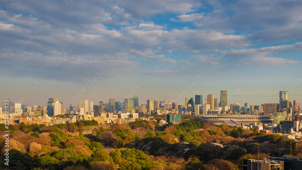 Fototapeta premium Tokyo Roppongi and Minato Districts modern skyline