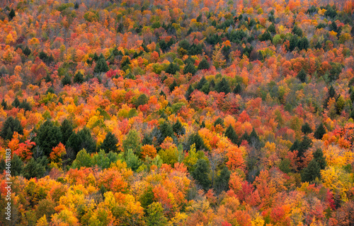 Aerial view of colorful autumn trees from Copper peak in Michigan upper peninsula