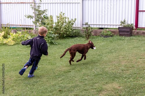 Boy catches up with brown dog