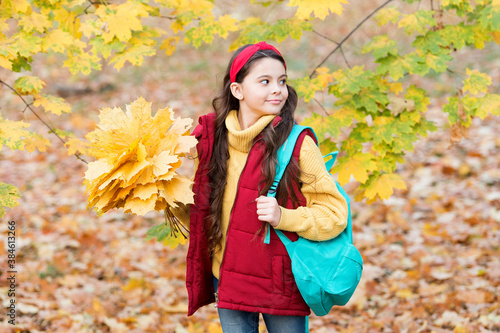 happy teenage girl enjoying autumn forest with beautiful seasonal nature carry school bag and holding yellow fallen maple leaves arrangement  autumn holiday