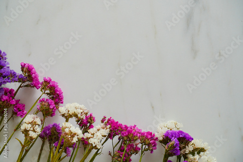 Fototapeta Naklejka Na Ścianę i Meble -  Dry colorful flowers on the white background. Autumn home decoration, floristic frame. Close up with copy Space. Herbarium of wild flowers.Flat lay, top view. bouquet of dried flowers of all colors