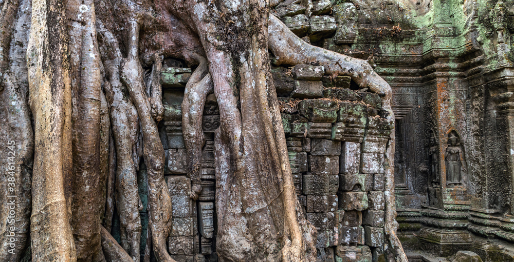 Ta Prohm temple Cambodia Siem Reap District Ta Prohm temple Cambodia Siem Reap District