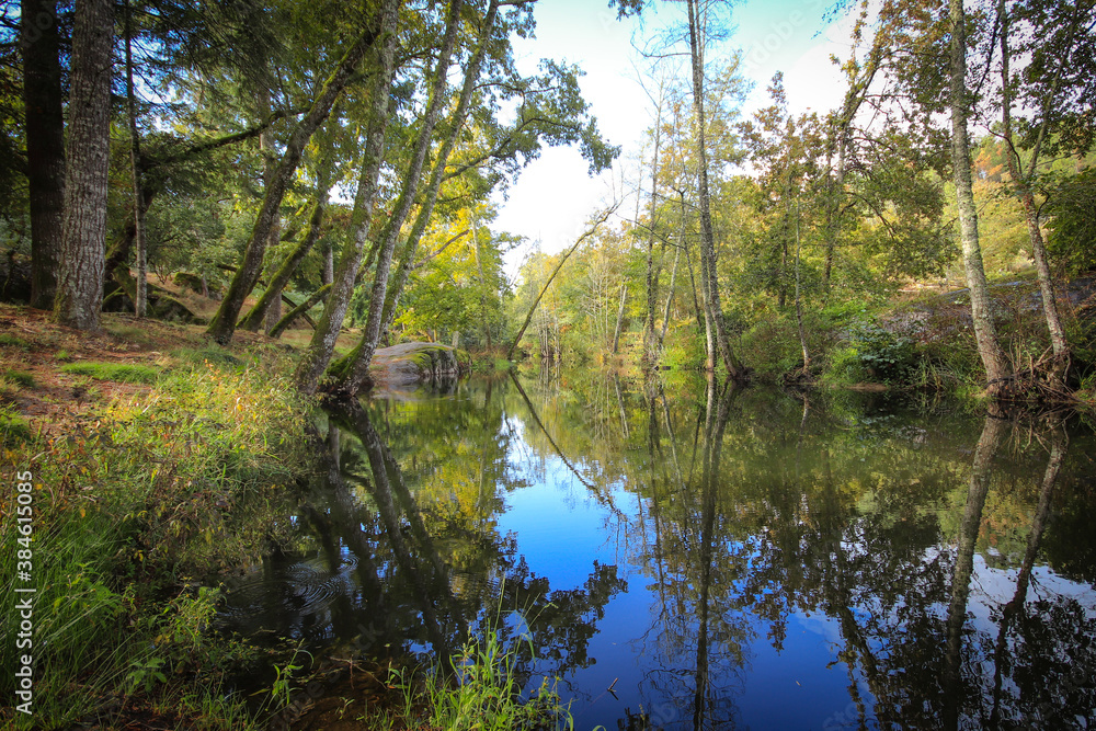 River surrounded by trees and vegetation on an autumn day. Autumn colours River surrounded by trees and vegetation on an autumn day. Autumn colours