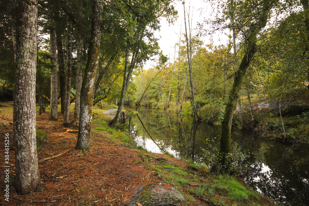 River surrounded by trees and vegetation on an autumn day. Autumn colours River surrounded by trees and vegetation on an autumn day. Autumn colours