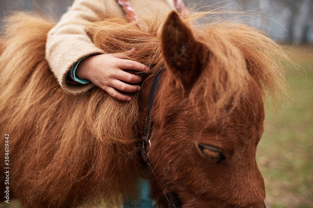 Shot of unrecognizable child gently touching cute chestnut pony mane - obrazy, fototapety, plakaty 