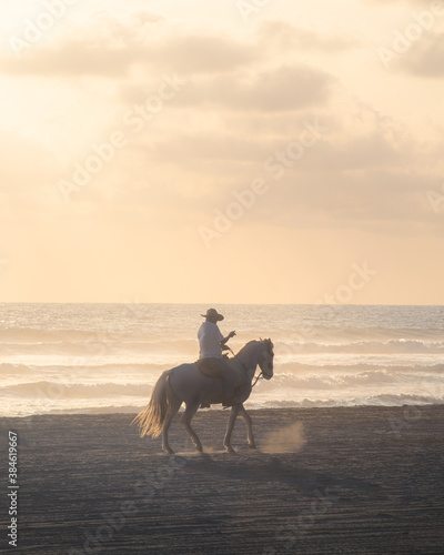 Fototapeta Naklejka Na Ścianę i Meble -  Horseback riding in Mexico