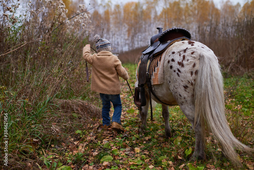 Unrecognizable Girl With Pony In Autumn Grove © pressmaster