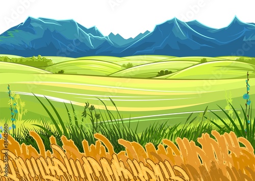 Wheat field. Rural hills and meadows. Scenery. Vector. Pasture grass for cows and a place for vegetable gardens and farming. Horizon. Beautiful view. Summer.