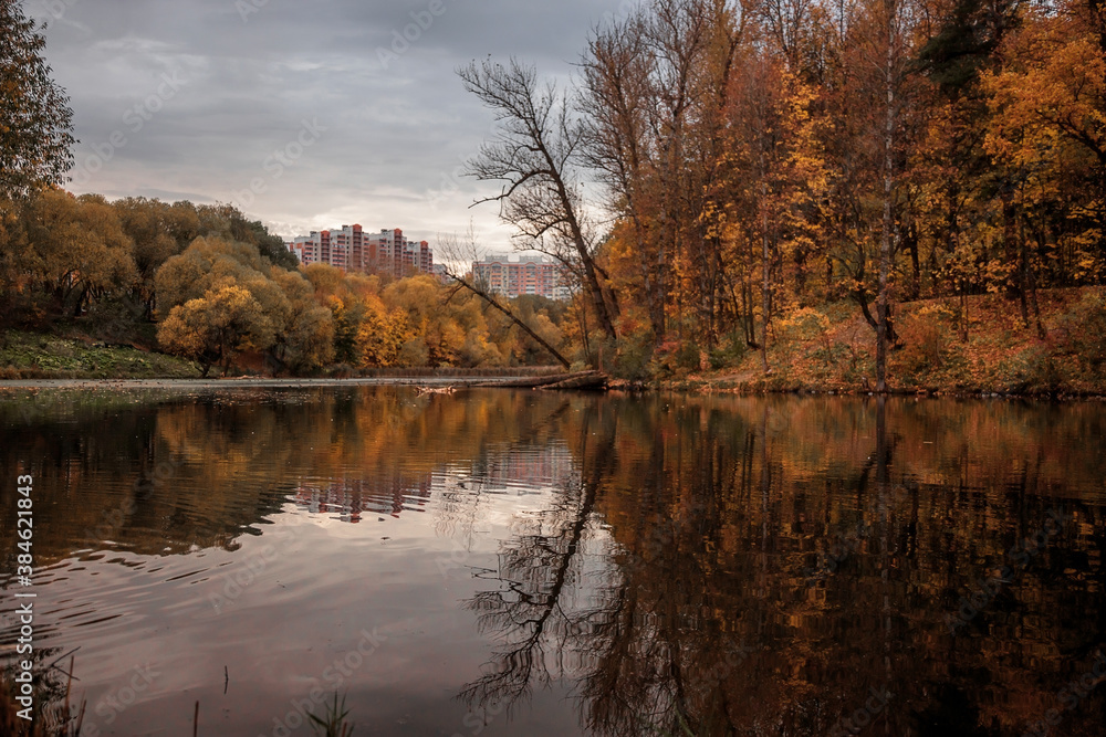 Fototapeta premium Beautiful autumn Park in the evening. Yellowed trees. Rainy weather.