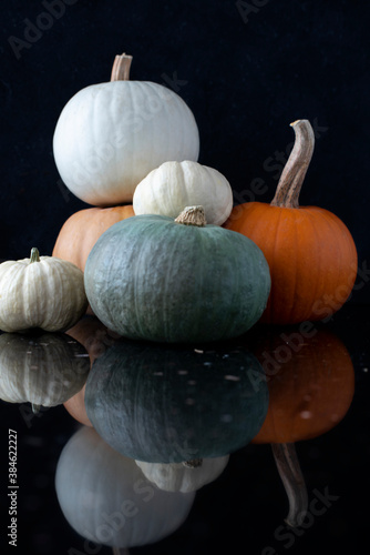 Composion of colorful pumpkins, black background, reflection photo