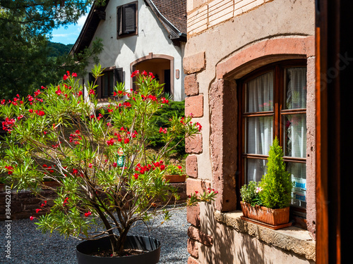 Alsace's sun-drenched gingerbread houses. Tiled roofs, flowers all around, the summer sun is shining. Beauty. © 31etc