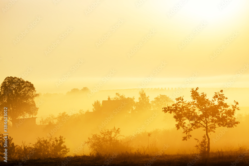 Beautiful foggy landscape during amazing sunrise with house, trees and vineyards. South Moravia, Czech Republic. Beautiful foggy landscape during amazing sunrise with house, trees and vineyards. South Moravia, Czech Republic.