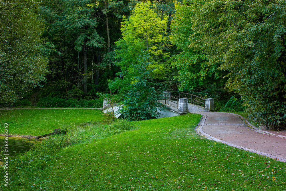 
green trees and path in the park