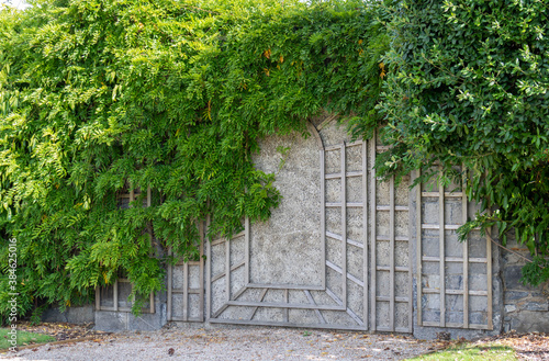 Old stone wall with ivy plants, retro background.