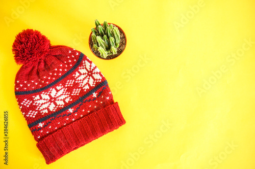 Christmas and winter decoration on yellow . Mockup winter fashion in blank yellow background with red woole christmas hat and cactus.  photo