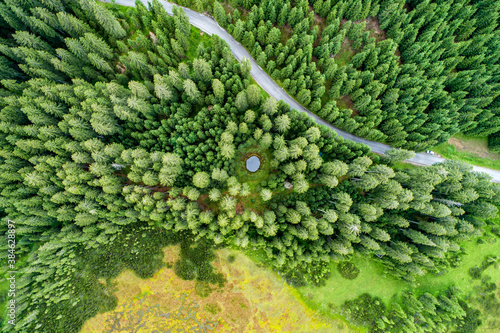 Vertical aerial view of spruce and fir forest (trees) lake and meadow, Pokljuka, Slovenia. photo