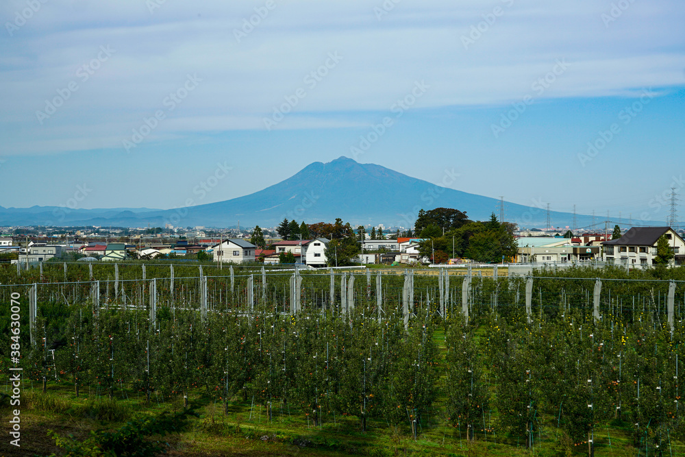 Mt. Iwaki in Aomori, 2020.