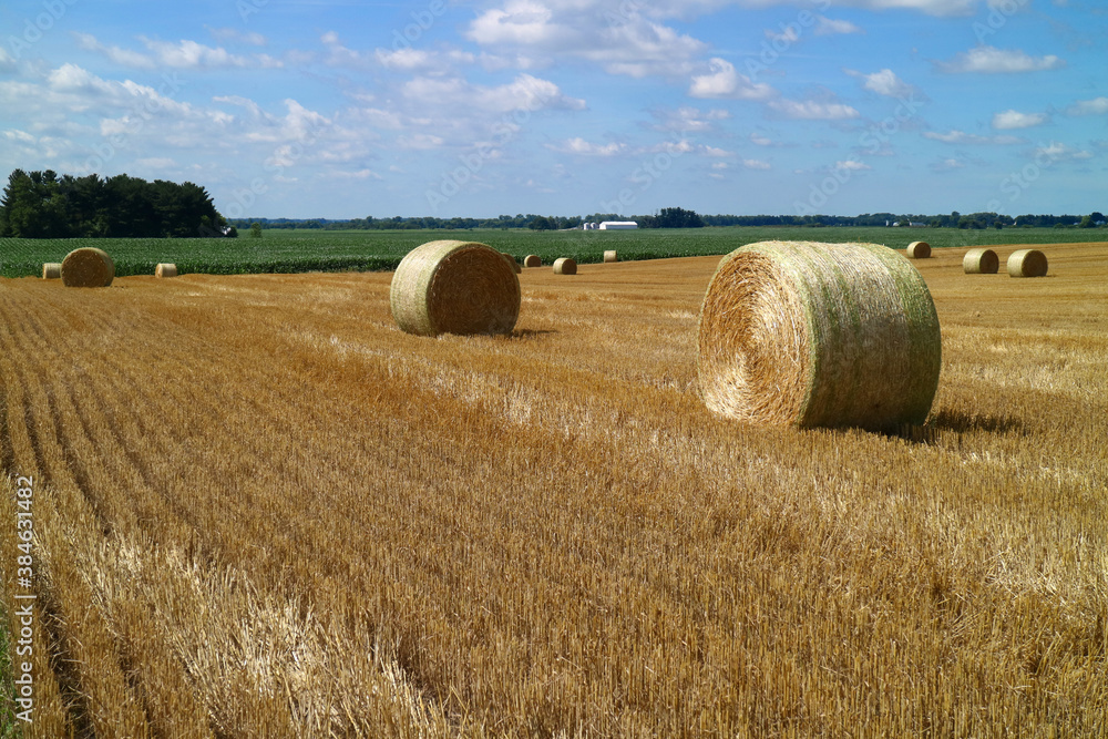 Rolls of Hay in the Field