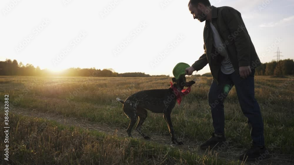A young man walks in a field with his dog breed Kurzhaar plays a flying saucer A young man walks in a field with his dog breed Kurzhaar plays a flying saucer