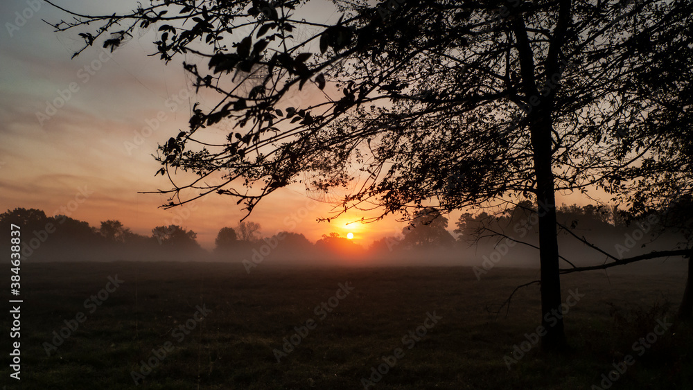 Sunrise on a foggy morning in the country