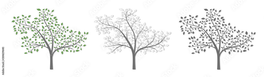 Tree with branches and leaves in three versions on a white background Tree with branches and leaves in three versions on a white background