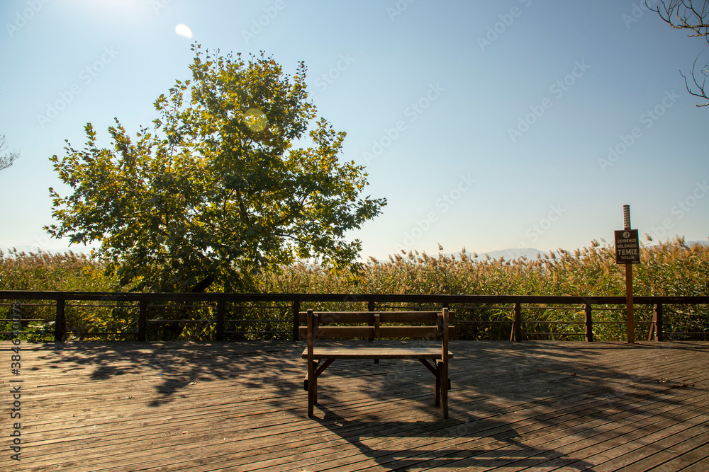 Romantic wooden walkway in trees by the lake