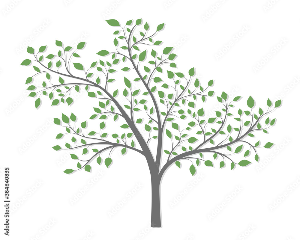 A tree with branches green leaves and a light shadow on a white background A tree with branches green leaves and a light shadow on a white background