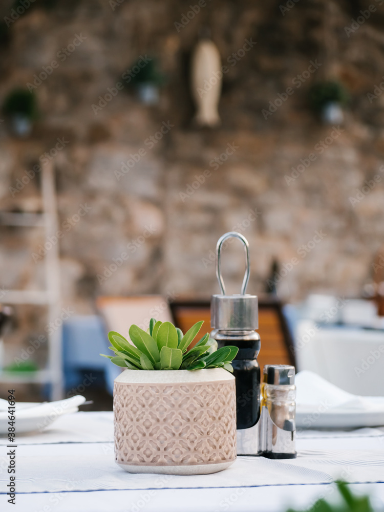 Closeup of empty restaurant table with pot with a green plant . Outside cafe in Budva, Montenegro. Soft focus