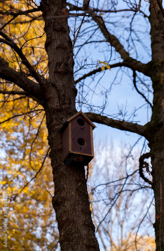 A bird house on a tree in the park,autumn vibes
