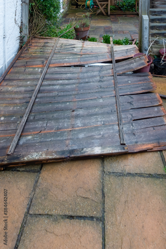 Residential wooden garden fence panel blown down by strong winds during a storm Residential wooden garden fence panel blown down by strong winds during a storm