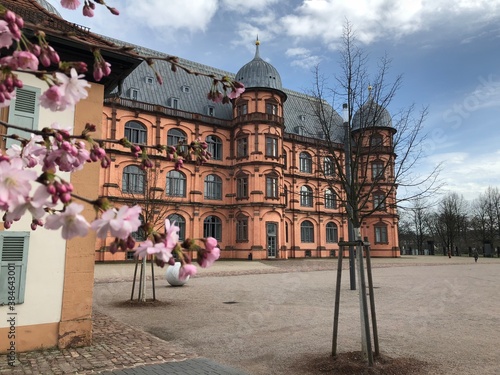 Karlsruhe with cherry blossom in sprong