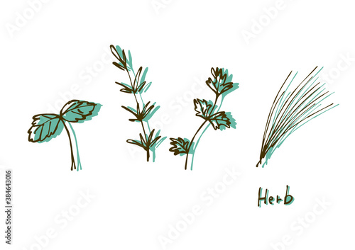 ハーブ(ミント,ローズマリー,パセリ,チャイブ)の手描きイラストセット