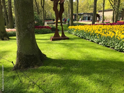 park in spring