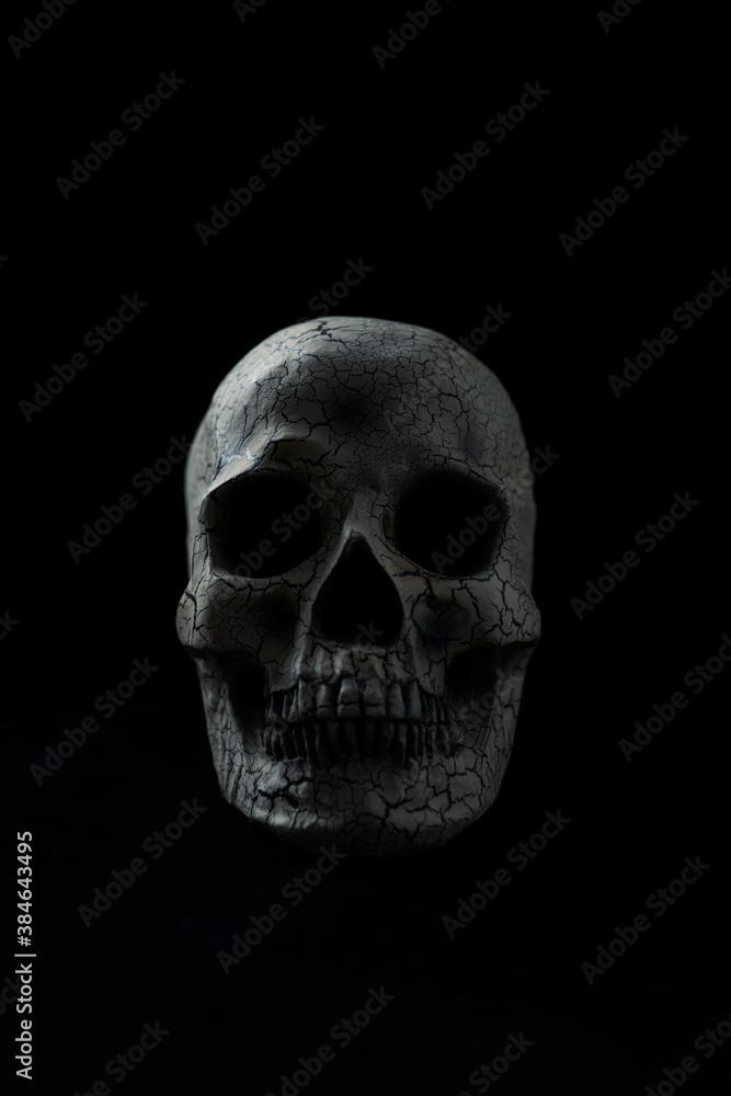 Skull isolated on black background. Copy space.