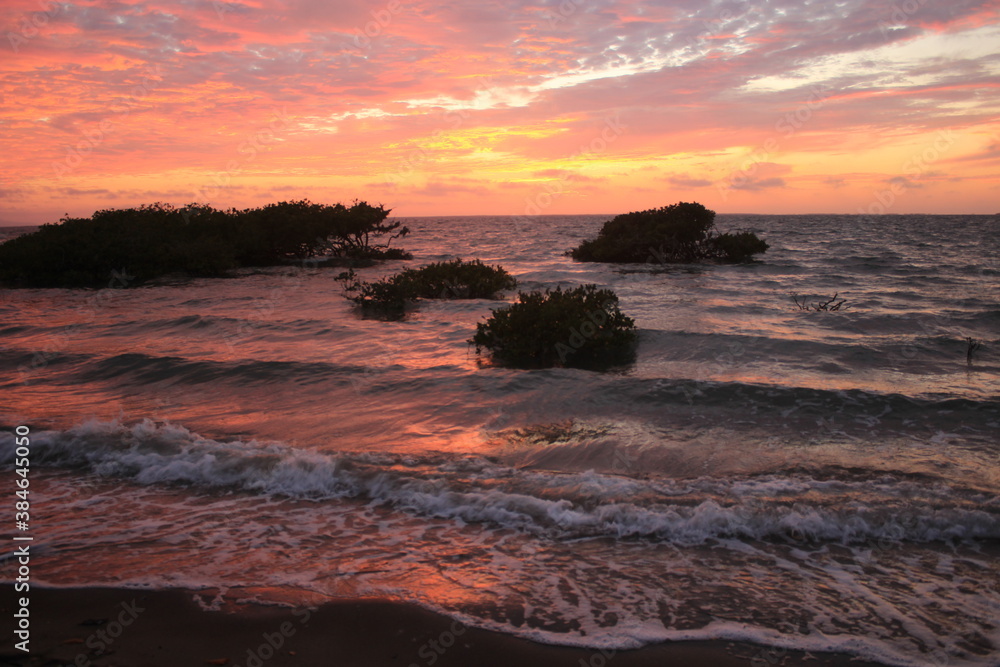 Atardecer rosado en playa de Baja California Sur 