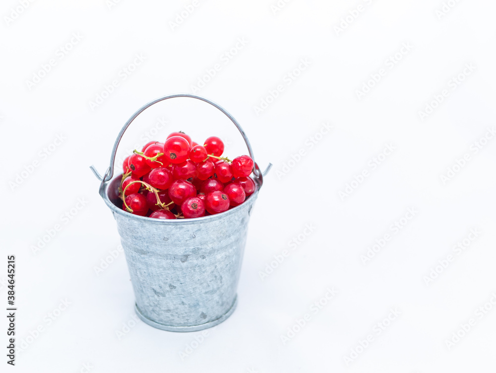 A metal basin filled with red currants A metal basin filled with red currants