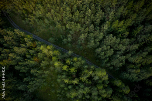 Drohnen Foto von Wald mit Bergstrasse in Abendsonne