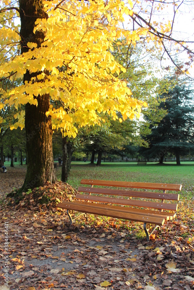 Panchina vuota nel parco in autunno al tramonto
