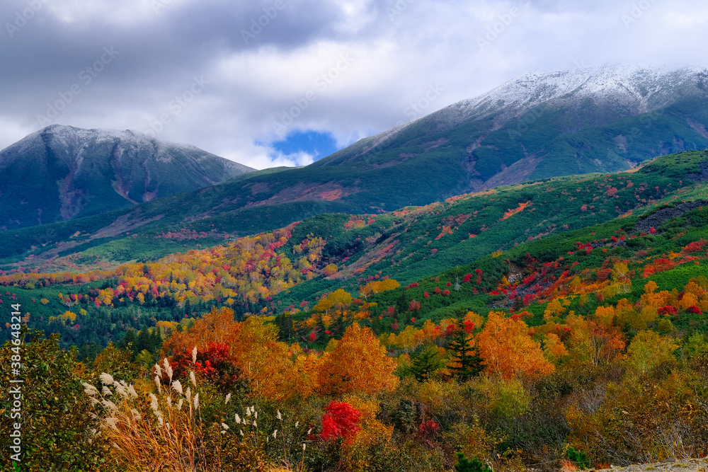 Naklejka premium 十勝岳の紅葉