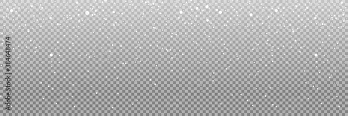 Snow. Realistic snow overlay background. Snowfall, snowflakes in different shapes and forms. Snowfall isolated on transparent background. Vector