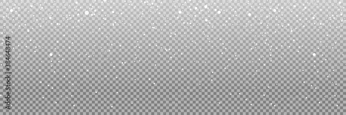 Snow. Realistic snow overlay background. Snowfall, snowflakes in different shapes and forms. Snowfall isolated on transparent background. Vector