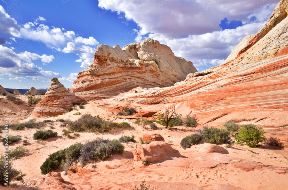 Fototapeta premium White Pocket Rock Formations in the Vermilion Cliffs National Monument in Arizona, USA