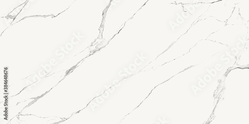 marble with black veins on a white background