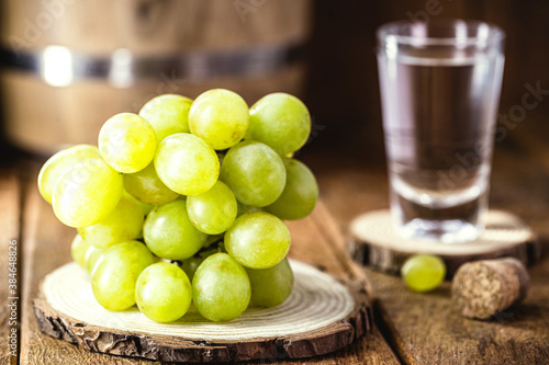 grapes used in distilled drinks such as Portuguese cachaça, brandy, graspa or Italian grappa. Spot focus, glass in the background photo