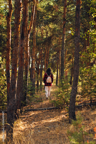 woman walking along a forest path